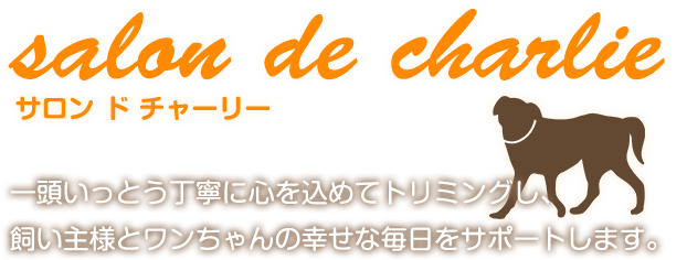 一頭いっとう丁寧に心を込めてトリミングし、飼い主様とワンちゃんの幸せな毎日をサポートします。